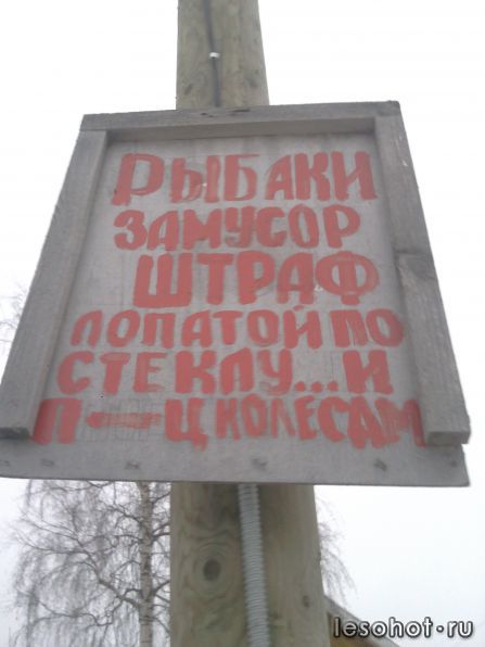  ))