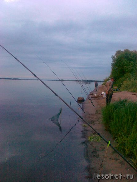 23062011133.jpg
