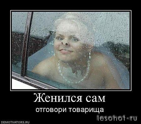e0bf255505feaa0b57383d72fd5ab645.jpg
