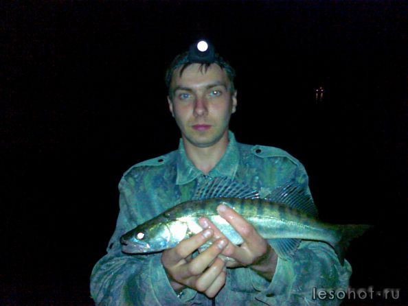 24062011138.jpg