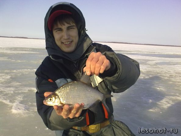 04042011320.jpg