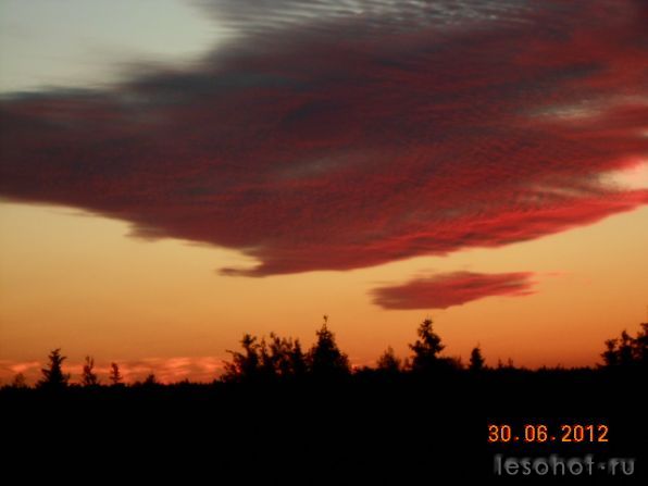 DSCN0030.JPG