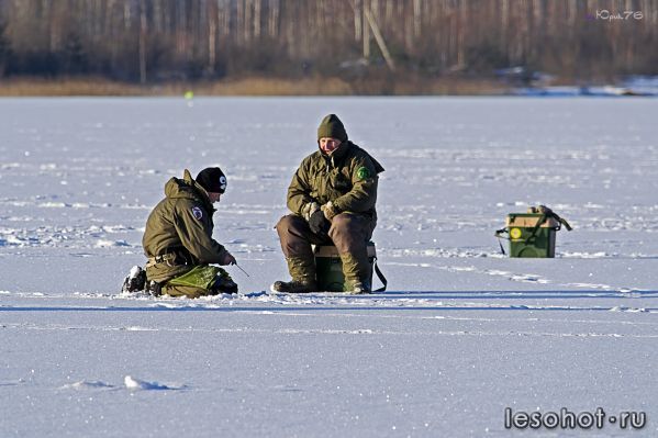 _DSC2986.jpg