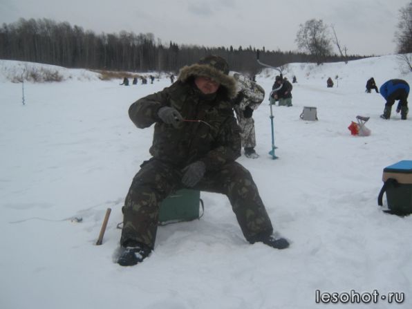  1238.jpg