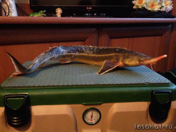 IMG_20160109_142433.jpg