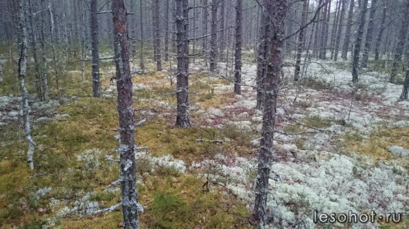 photo_00112.jpg