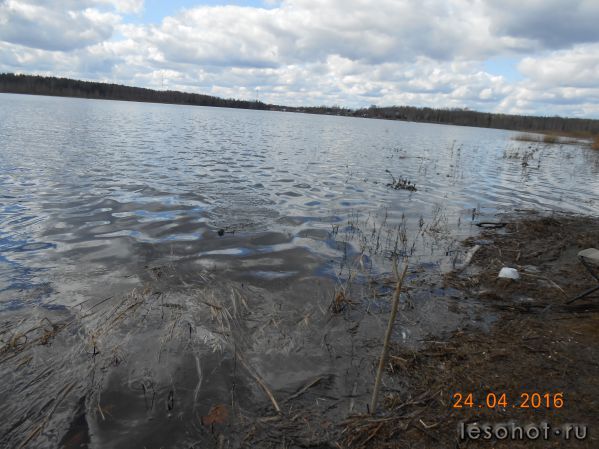 DSCN4946.JPG