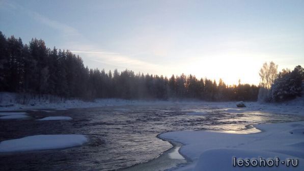 photo_00390.jpg