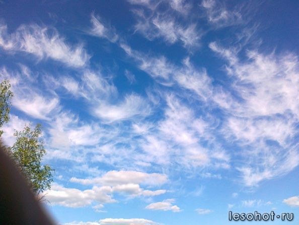 06072012079.jpg