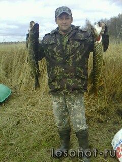 picture_00035.jpg