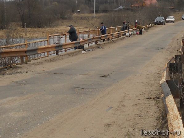  010.JPG