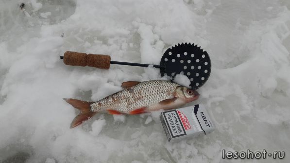 20160213_115555.jpg