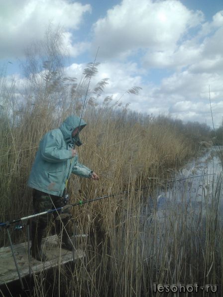 IMG455.jpg