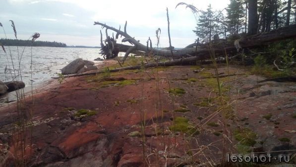 photo_00181.jpg