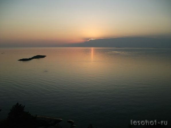 y_fe31f83b.jpg