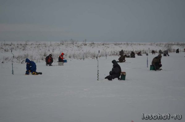 DSC_1049.JPG