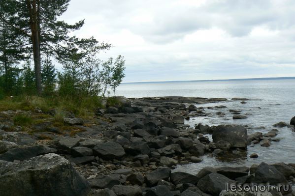 P1070332.JPG