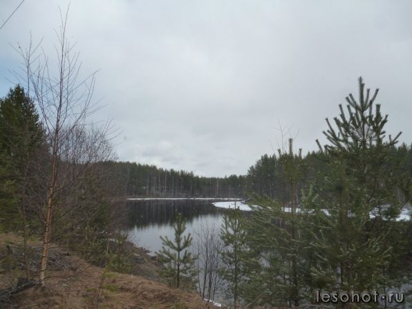 photo_00001.jpg
