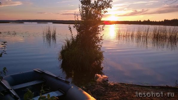 WP_20140730_022.jpg
