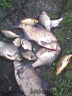IMG0127A.jpg