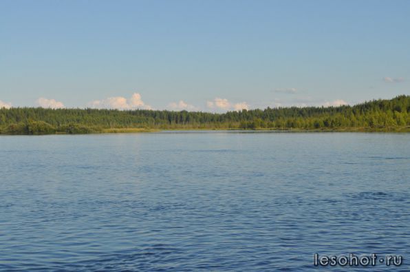 photo_00294.jpg