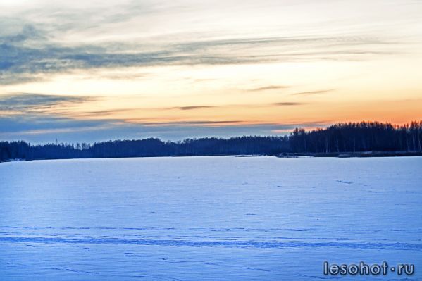_DSC2956.jpg