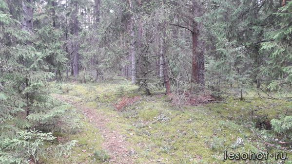 20180713_084930.jpg
