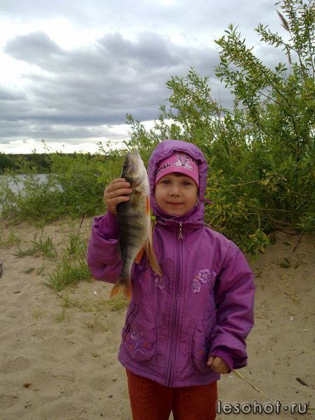 04062011341.jpg