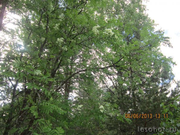 photo_00121.jpg