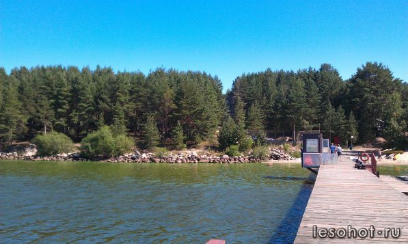 IMAG0359.jpg