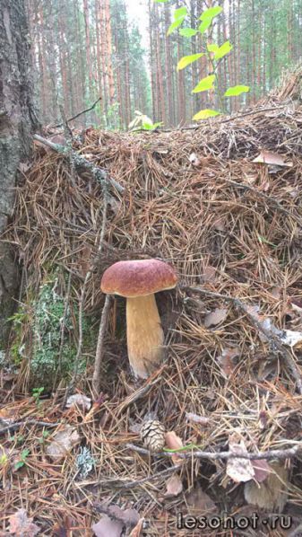 photo_00038.jpg