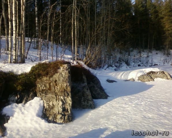 photo_00035.jpg