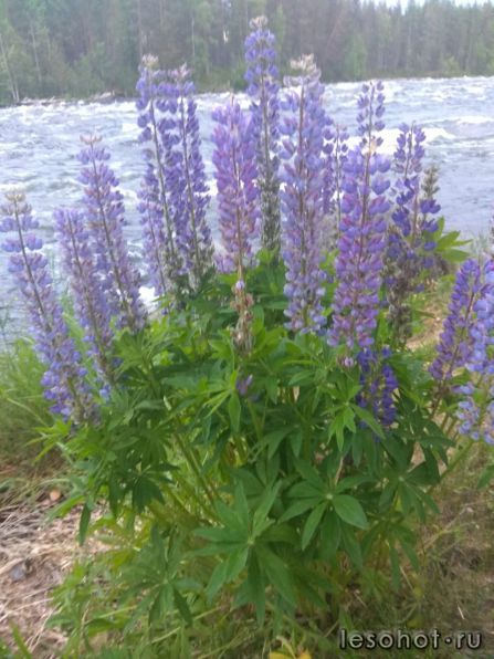 photo_00366.jpg