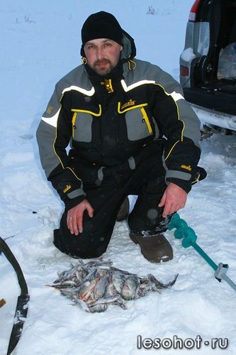 0_960d7_12e84c6_L.jpg