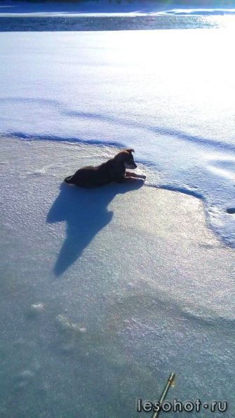 photo_00215.jpg