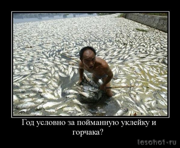 3426a6ed2340d98b7d2a3d9cd61aad.jpeg