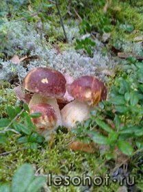 photo_00003.jpg