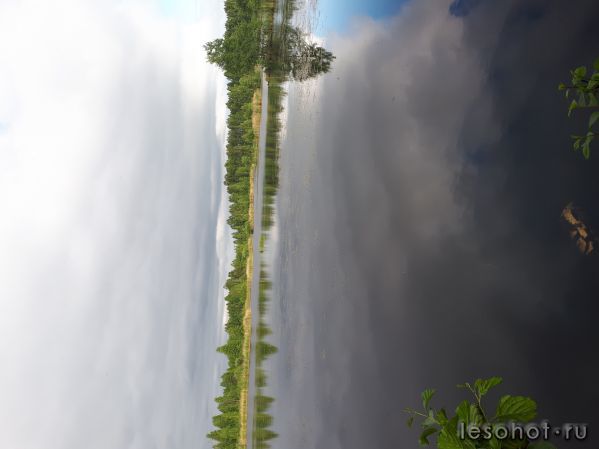 20180613_175114.jpg