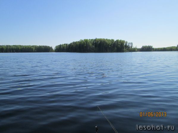 IMG_0156.JPG