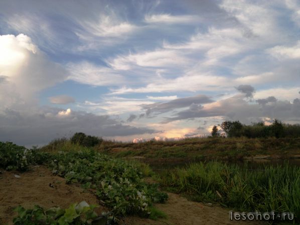 03092011225.jpg