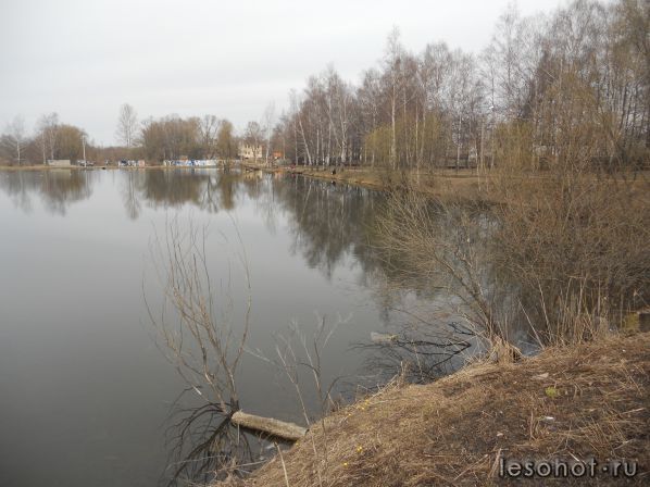 DSCN1160.JPG