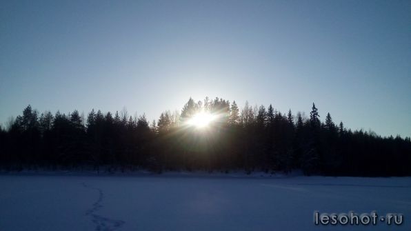 photo_00376.jpg