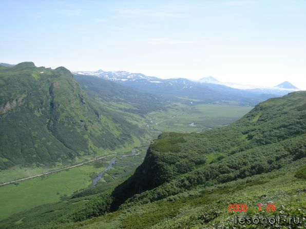 DSC06783.JPG