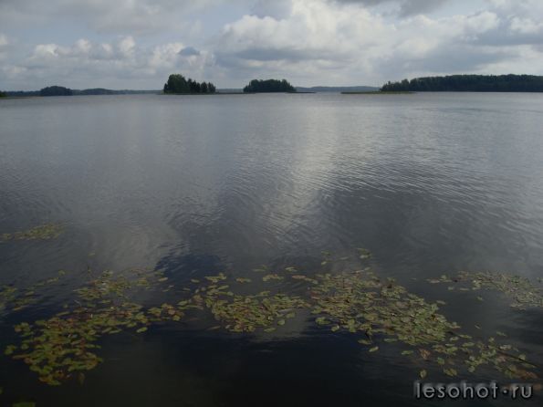 DSC02646.JPG