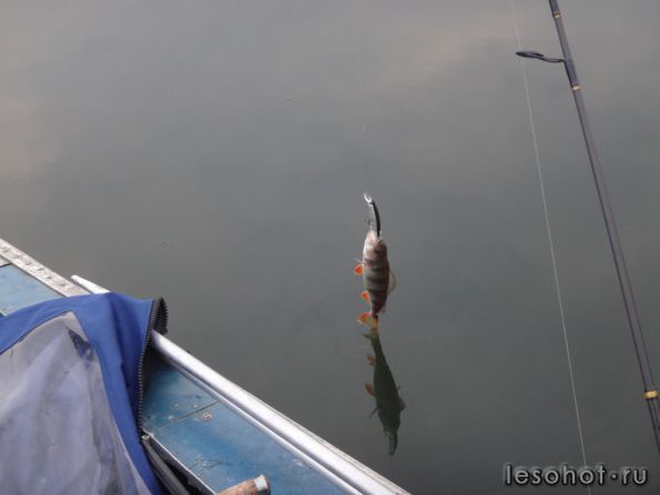 �������� 19.09.14 (8).JPG