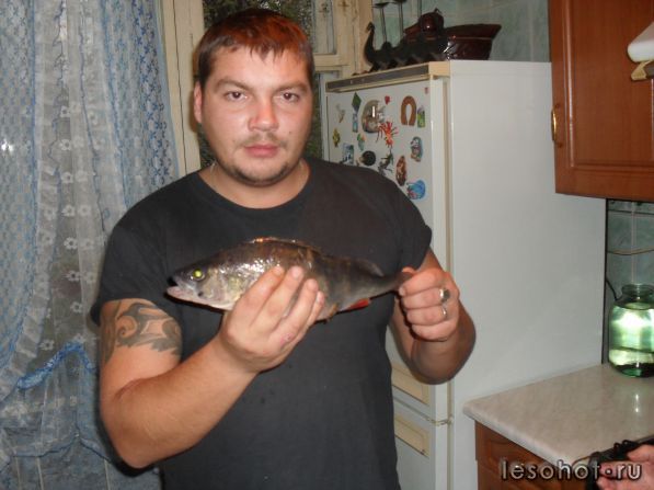 Recoverd_jpg_file(157).jpg