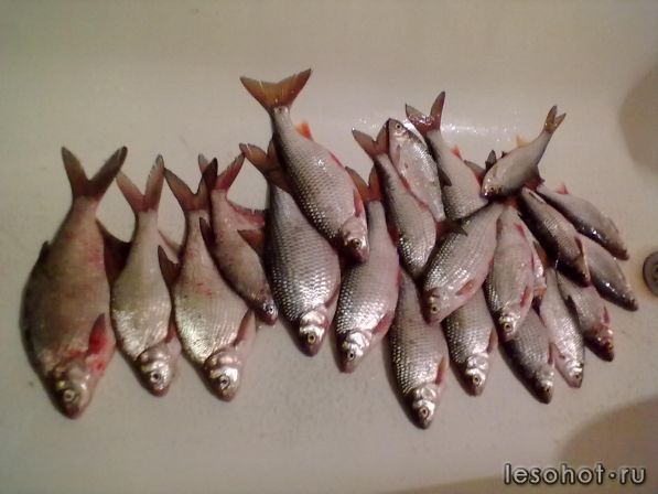 23022012086.jpg