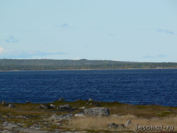 P1060012.JPG