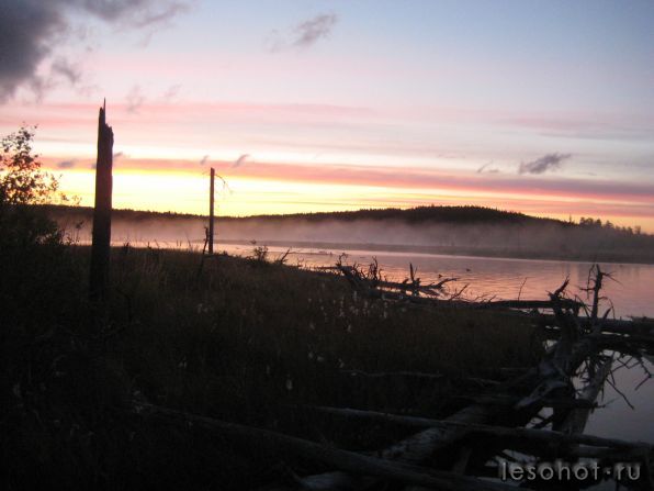 IMG_0205.JPG