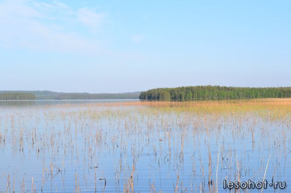 DSC_0724.JPG